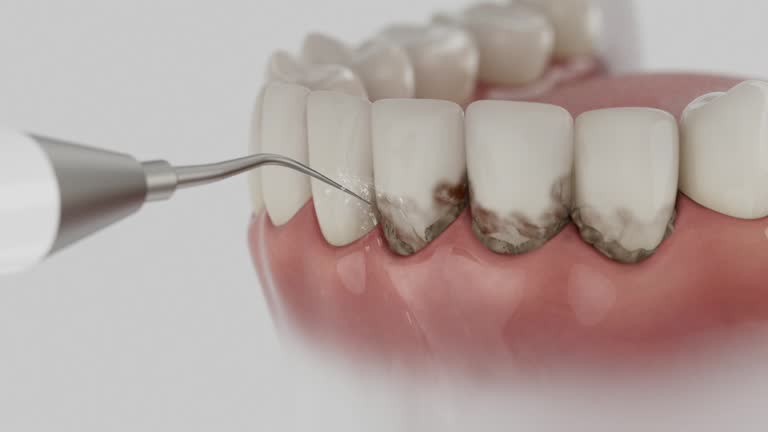Reliable Dental contractor in Kingsport, TN by Dentist Open Now